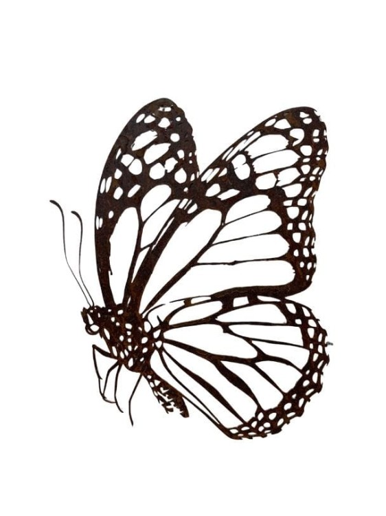 motyl 01.jpg Motyl papilio 001 bez wbijaka - ozdoba ogrodowa ze stali pordzewionej - hortus ferri
