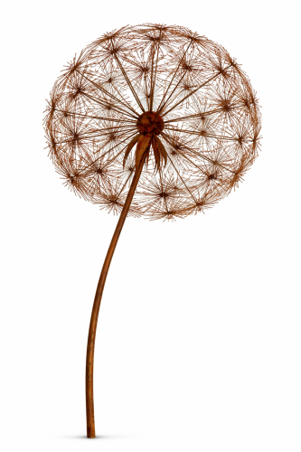 Dmuchawiec 001 - a.png Dmuchawiec .png - Teraxa-offici rozm. L hortus ferri - dmuchawiec rdzewiony ze stali postarzany