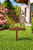 baranek wielkanocny 001 - ok.png Baran wielkanocny, ozdoba ogrodowa, dekoracja ogrodowa Baran baranek wielkanocny, Hortus Ferri stal corten