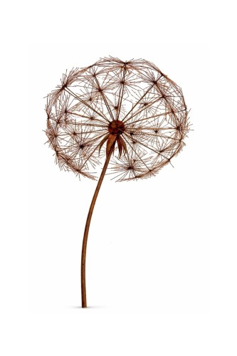 Dmuchawiec Hortus Ferri