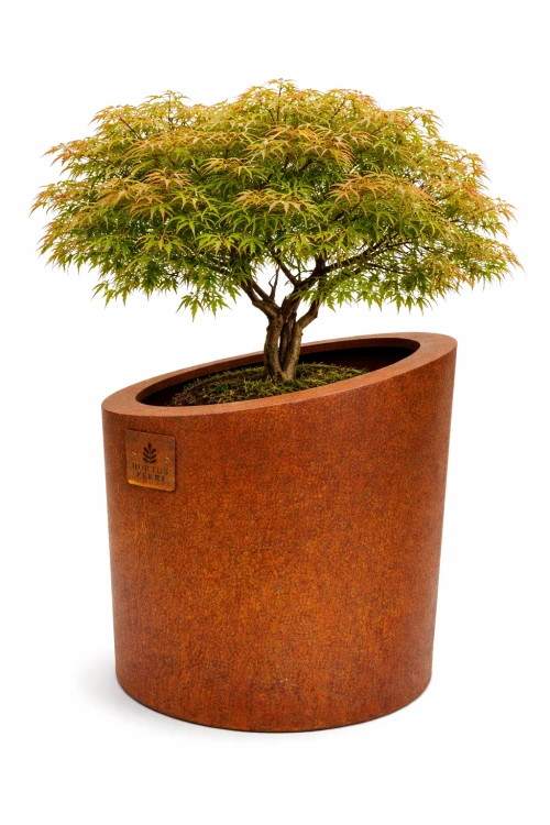 Donica LEA - ze stali corten - Hortus Ferri - donica z drzewem ozdobnym