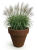 Donica Nobilis S 001 jpg.jpg Donica Nobilis S ze stali corten - Hortus Ferri i wysokie trawy