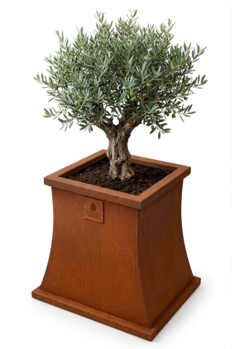 Donica ze stali corten Hortus Ferri - Drzew